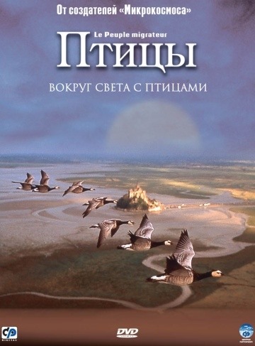 Птицы (2001)