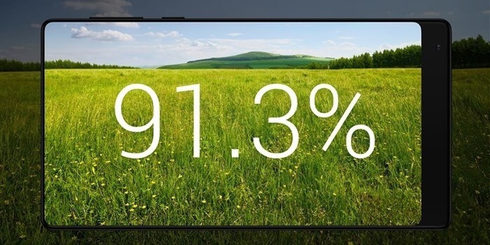 91,3% занимает экран