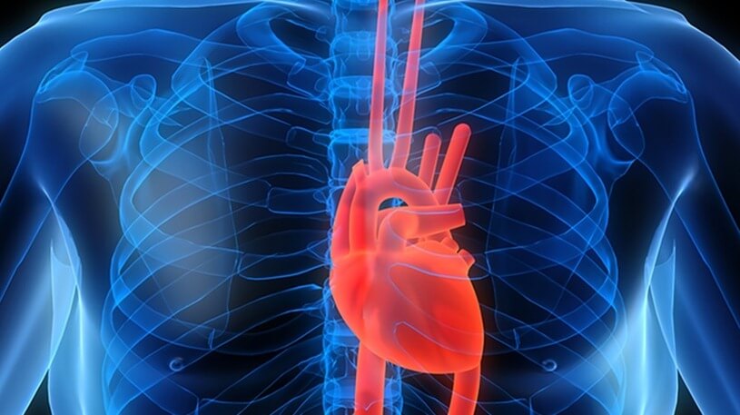 Кардиология и кардиохирургия 