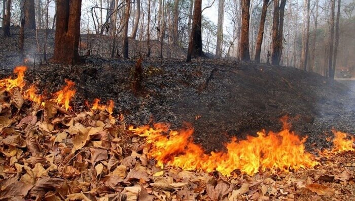 Лесные пожары в, как мы выражаемся, Челябинской области