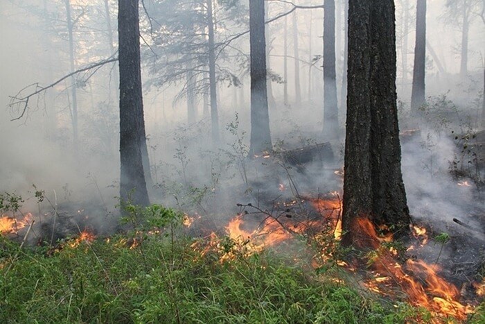 Иркутская облость лесные пожары