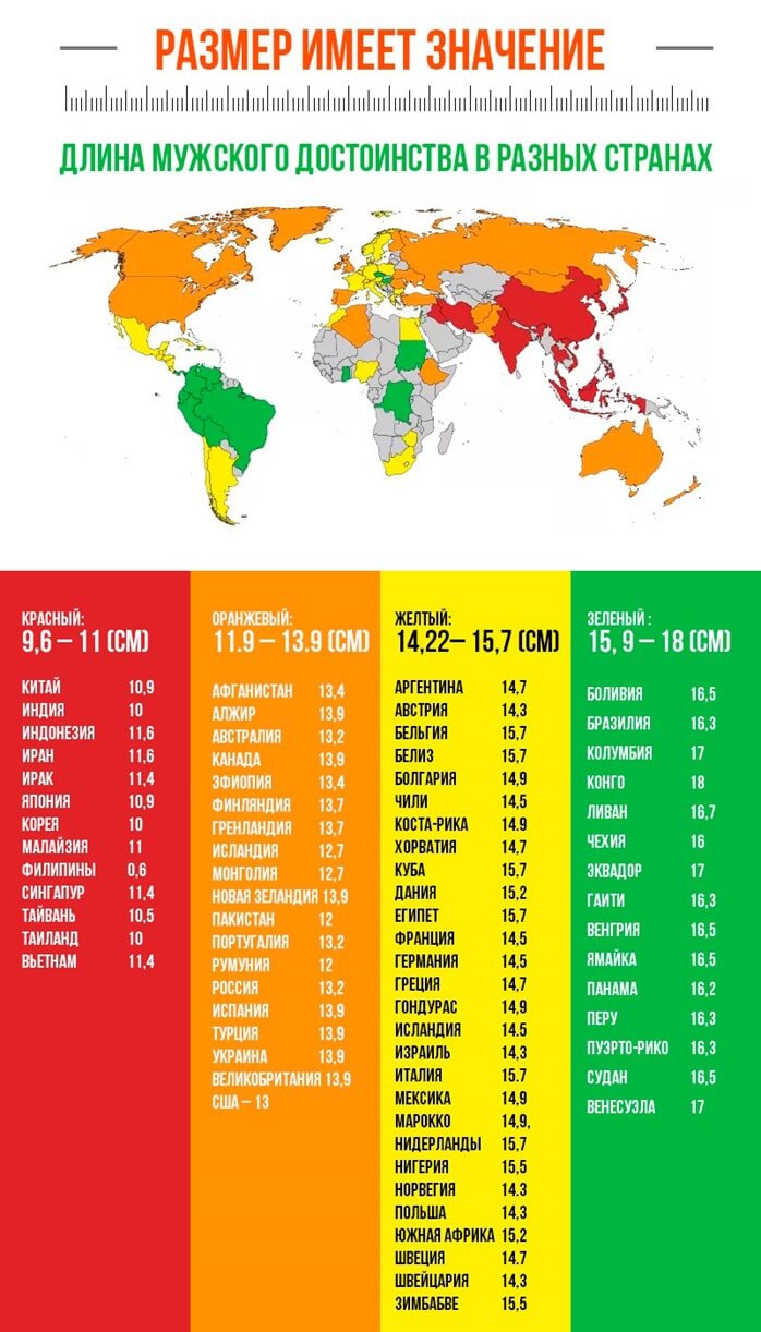 Длина мужского полового члена в странах мира