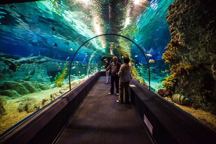 Sochi Dicovery World Aquarium