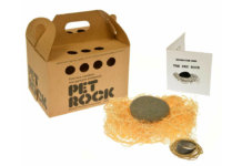 Pet Rock