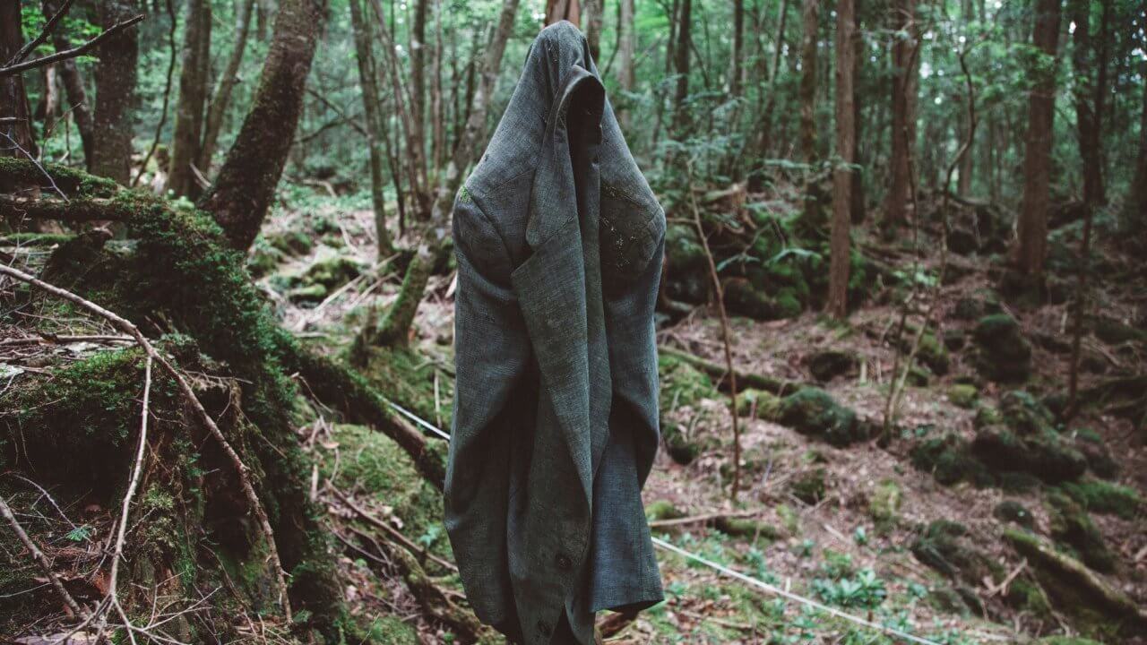 Лес самоубийц агохари в Японии