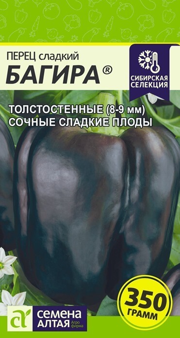 Багира, семена черного болгарского перца