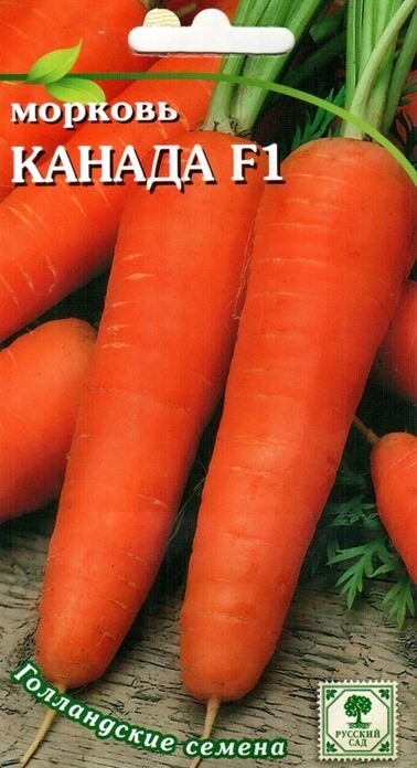 20 лучших сортов моркови 2023 года