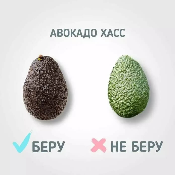 Выбор авокадо сорта «хасс»
