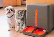 pet feeder